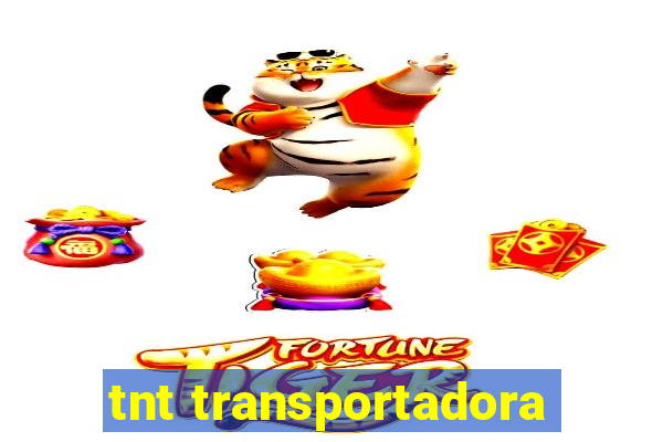 tnt transportadora